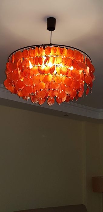 Candeeiro Gato Preto