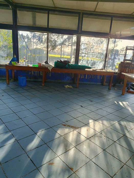 Mesa para sala ou convivios