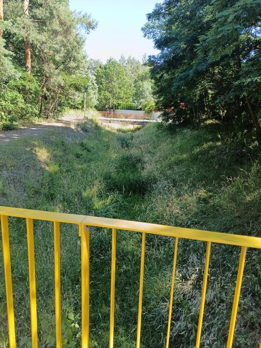 Sprzątanie działek i podwórek