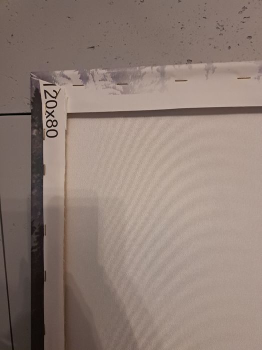 Obraz las we mgle mgła na płótnie foto tapeta 120x80