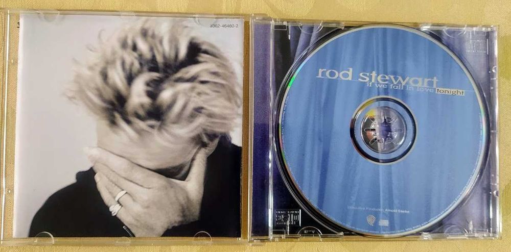 Rod Stewart -  If we fall in love tonight