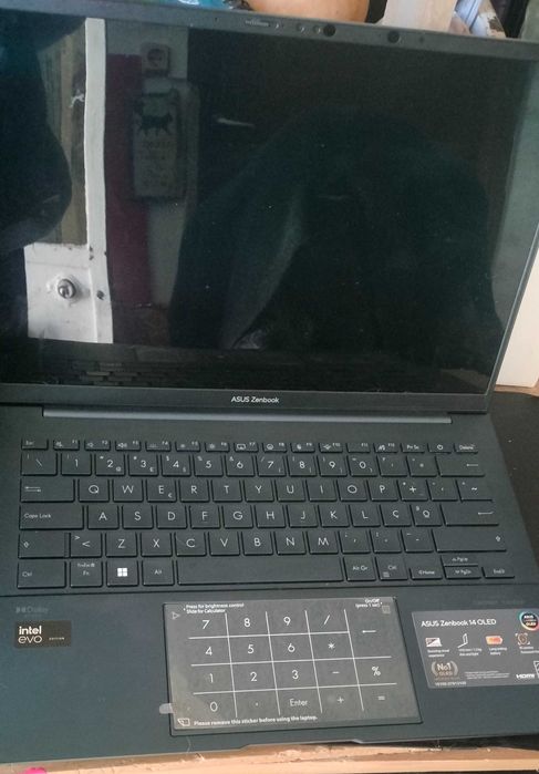 Vendo portátil ASUS Zenbook 14 OLED