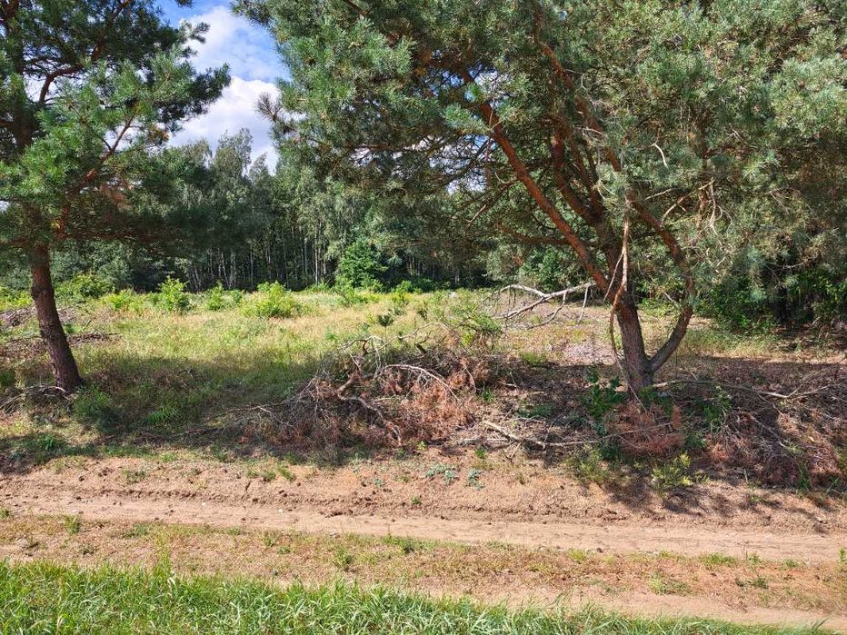 Działka 1,36 ha z lasem – MPZP A.RP – Krze Duże
