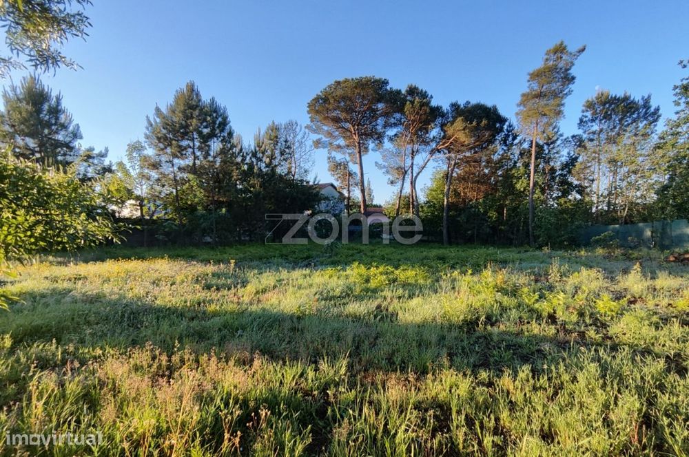 Terreno Urbanizável Vila Chã de Sá
