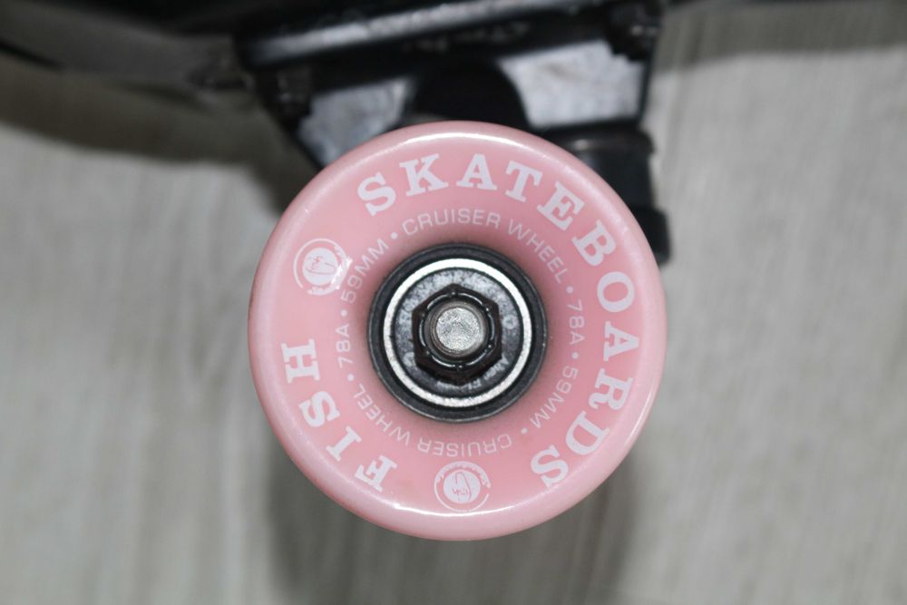fiszka fishskateboard