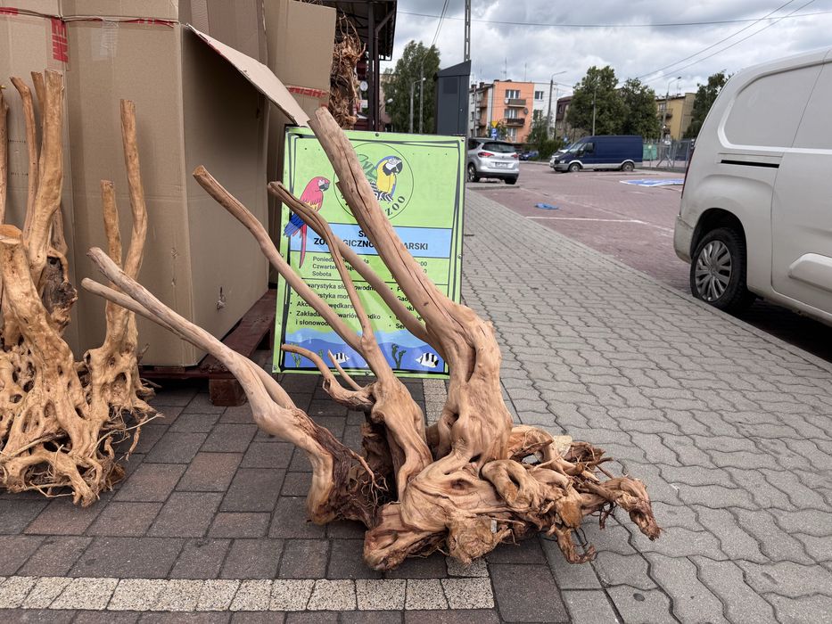 13 Korzeń stump wood XXL do akwarium  sklep zoologiczny studnio zoo Mińsk mazowiecki ul targowa 5/7