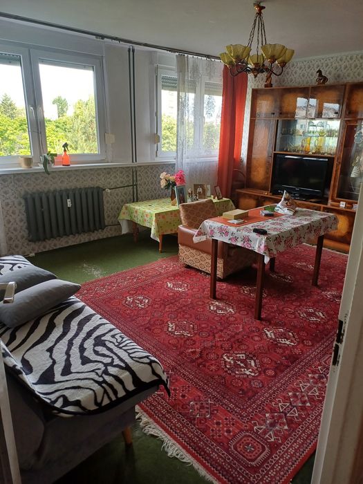 Mieszkanie M4 legnica wynajem