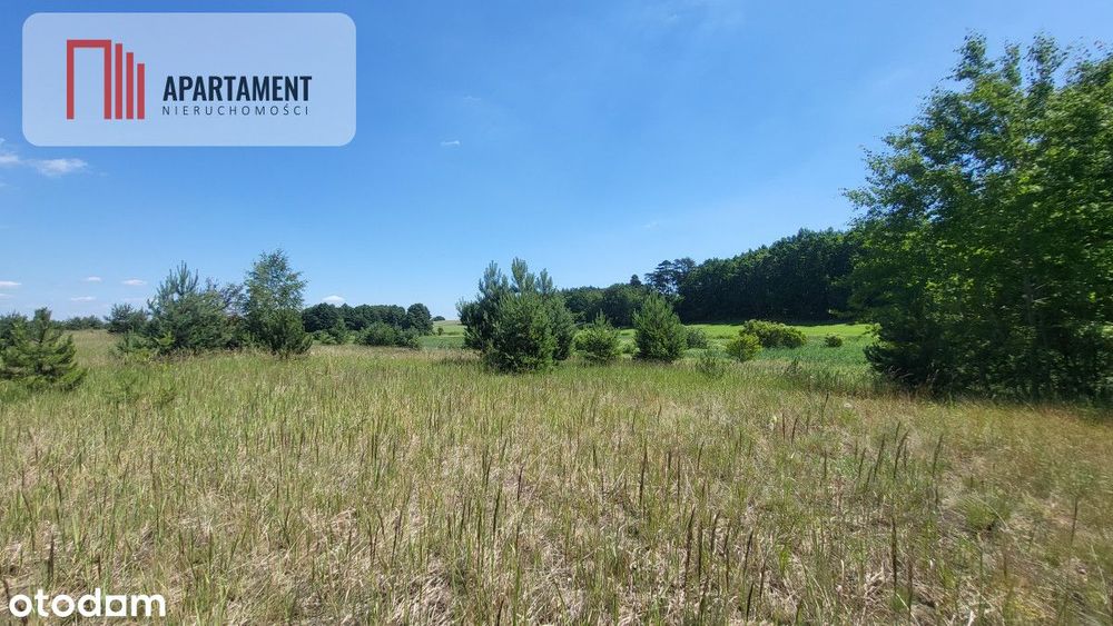 Działki z WZ - świetna lokalizacja natura, jezioro - Więcej