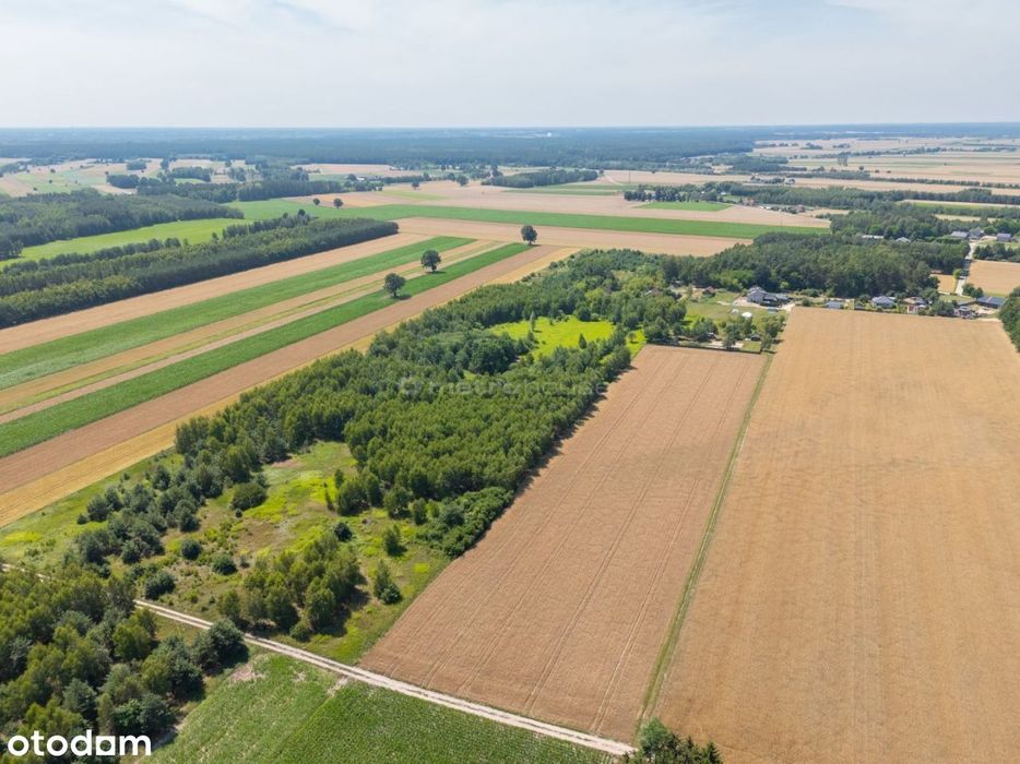 Działka inwestycyjna 3,5 ha 26 domów, Nasielsk - Widok 5