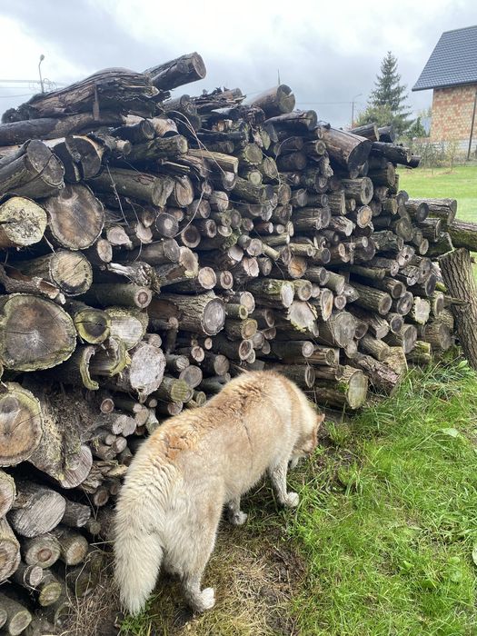 Drewno liściaste na opał mix liściastych