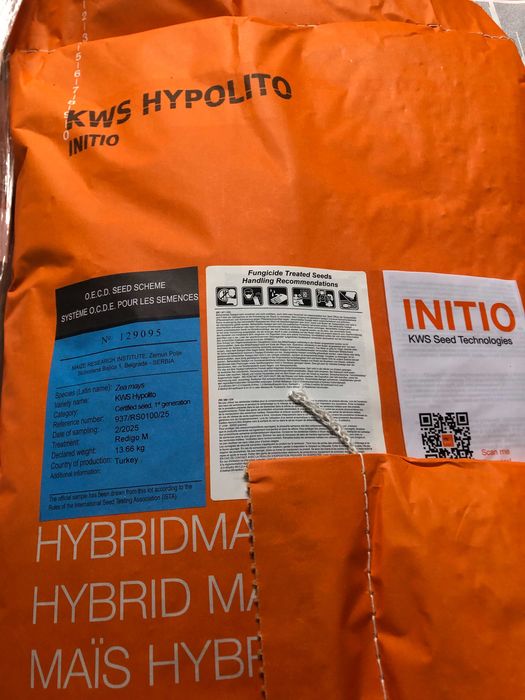 Kukurydza KWS Hypolito , Mas 31 L, ES Inventive, Citadel , DKC 3796