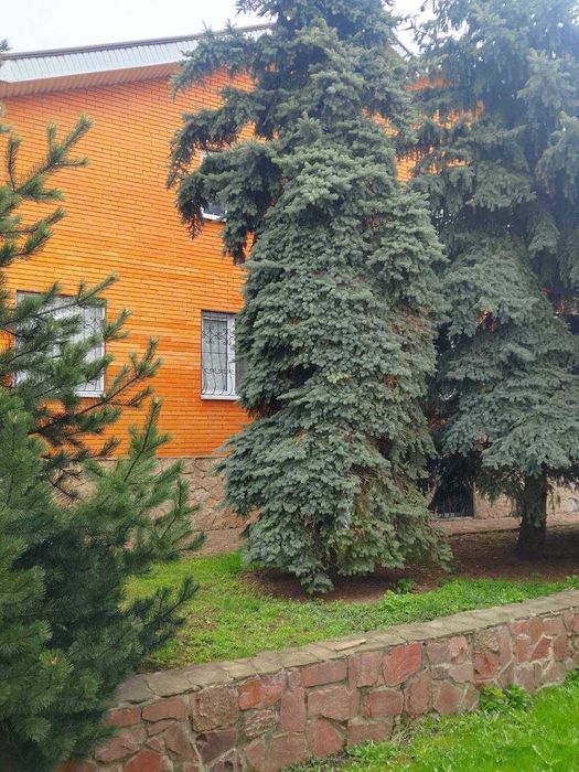Оренда будинку з боксом під СТО/склад Нові Петрівці 350 м² +300 м²