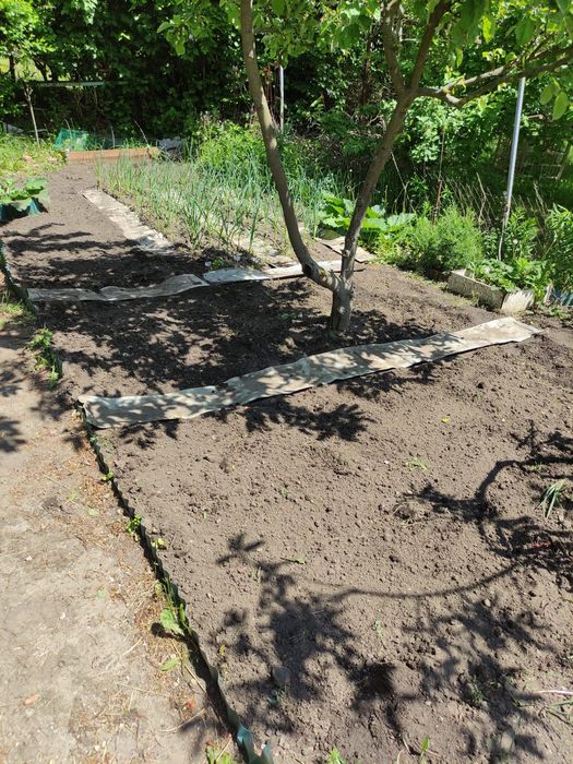 Działka ROD Szczecin Żelechowa na sprzedaż