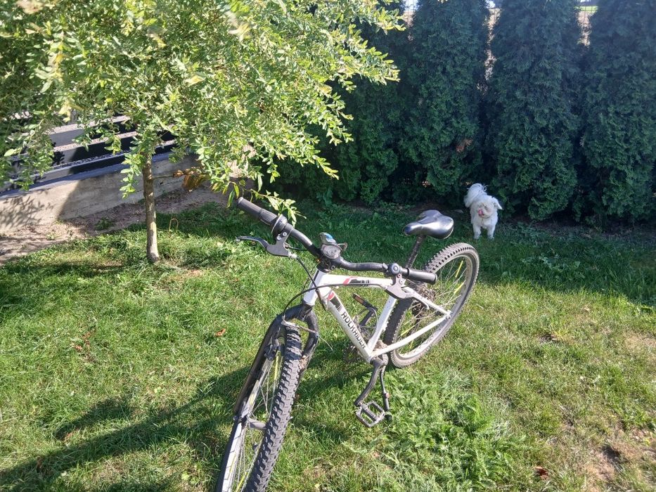 Rower rockrider T100
