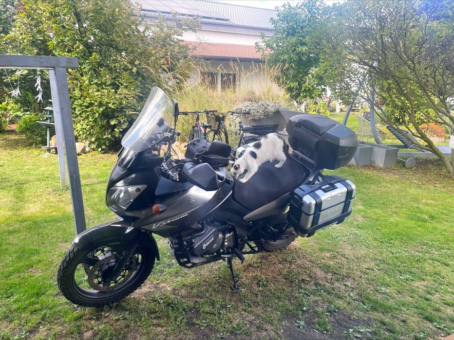Suzuki DL650 ABS Przebieg 86000 km 2006