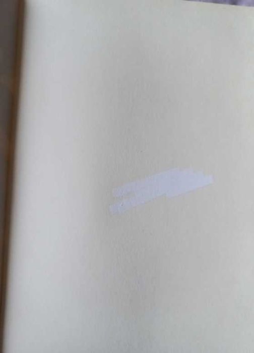 Um Eléctrico Chamado Desejo - Tennessee Williams