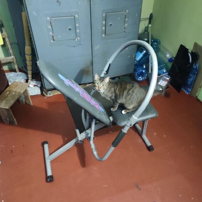 Тренажер ab king pro