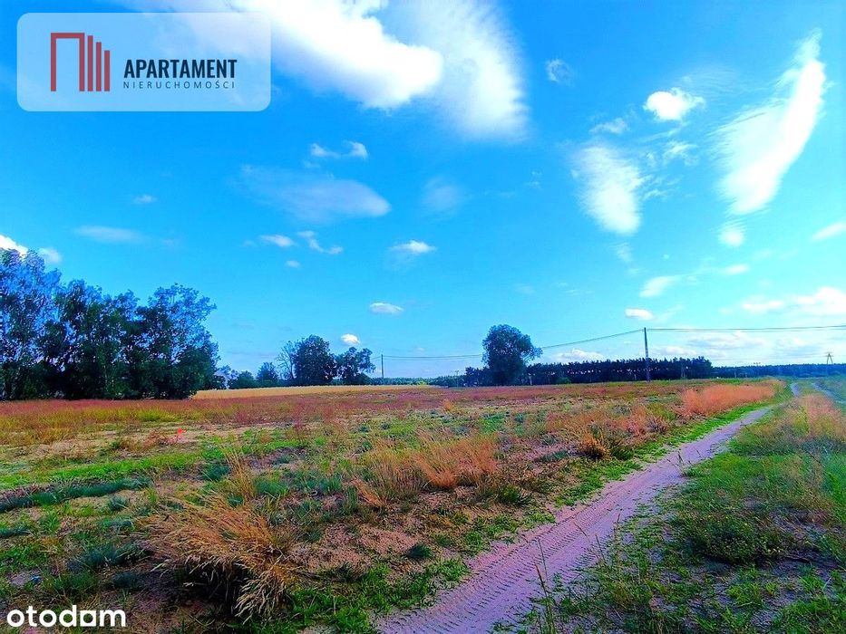 Zławieś Mała 1002m2 Cisza Spokój Super Lokalizacja