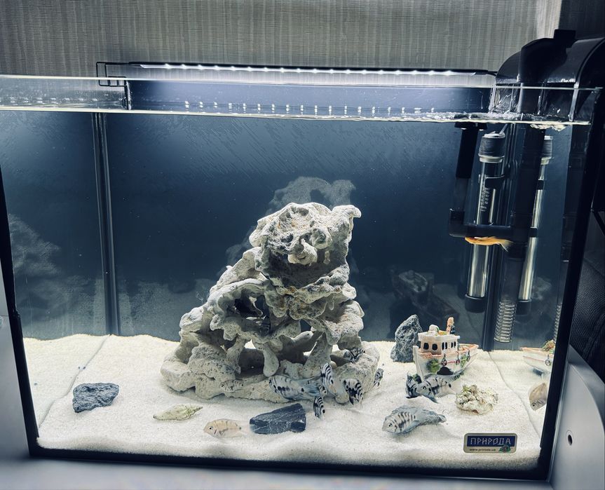 Акваріум 54 л