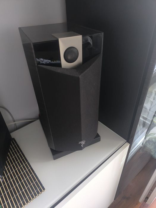 Focal chorus 806v