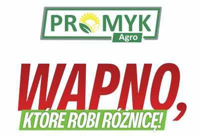 Wapno węglanowe, odmiana 04 (luz) Rapid Ca+