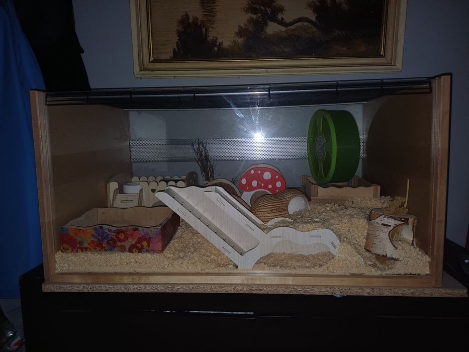 Klatka terrarium dla chomika
