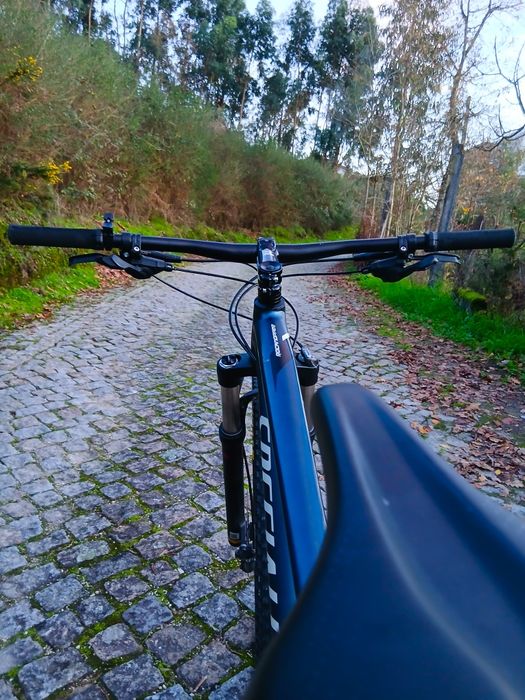 Bicicleta Specialized 29" BTT (negociável)