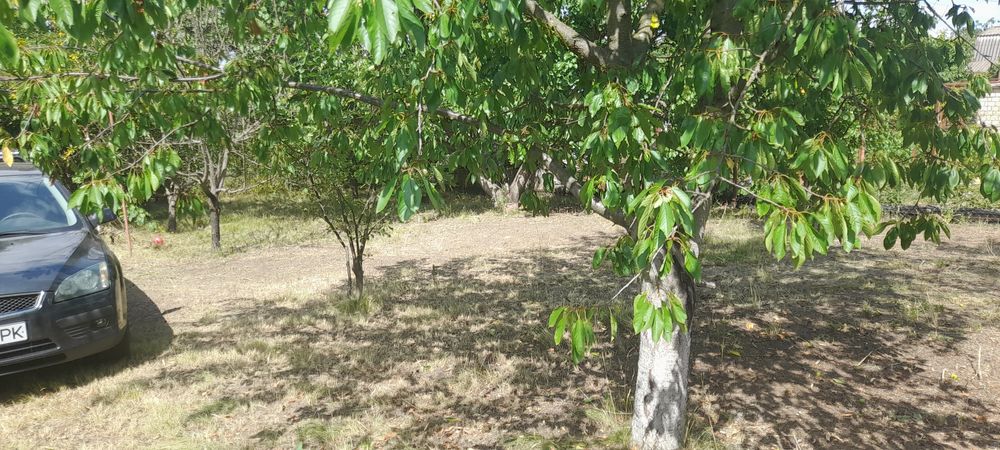 Продам дачу 3км от никополя