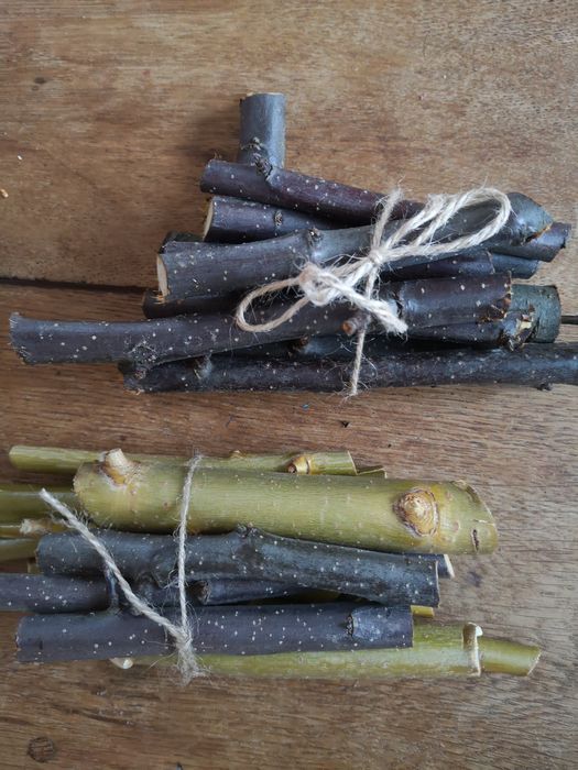 Gałązki dla królika, gryzoni