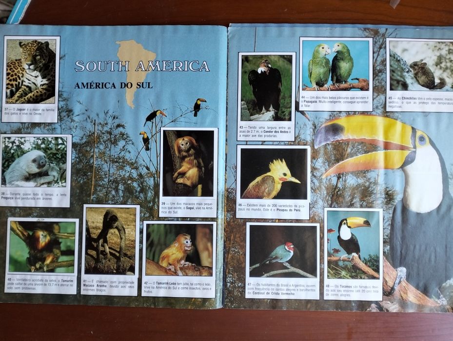 Antiga caderneta Animals World completa