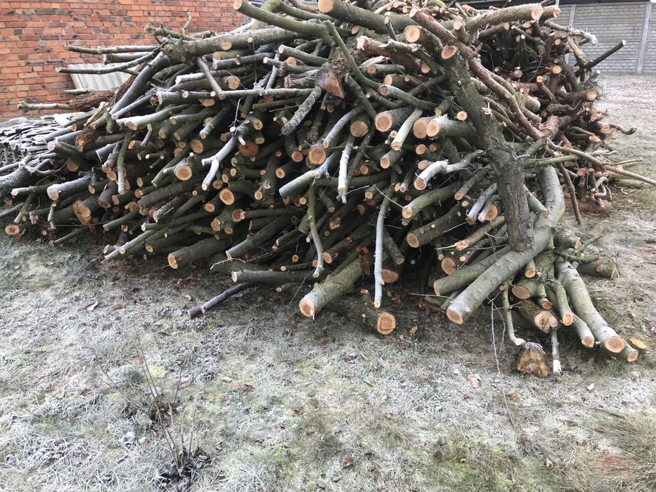 Drewno opałowe, sosna czeremcha