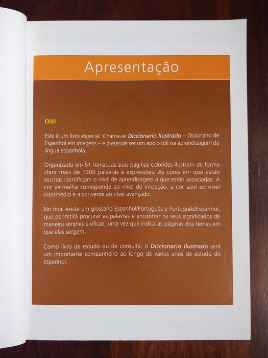 Livro Dicionário de Espanhol em Imagens [portes grátis]