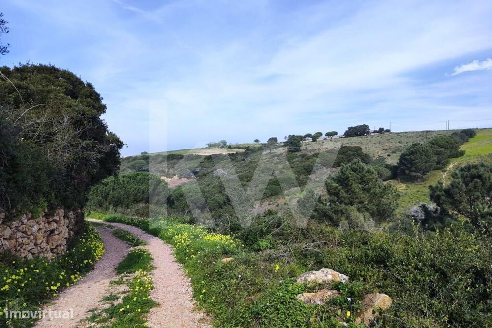 Terreno Carvoeira — Carvoeira, Lisboa