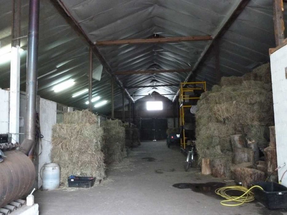 Оренда стайні на 12 денників.