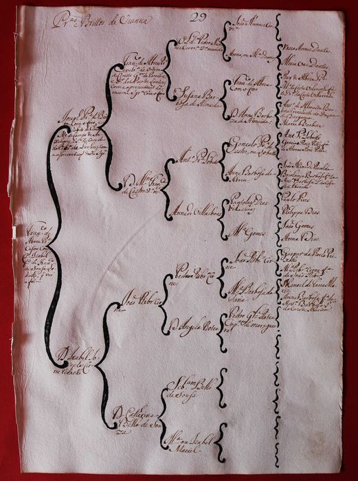 Pereiras e Britos de Viana árvore de costados manuscrita (cc 1746)