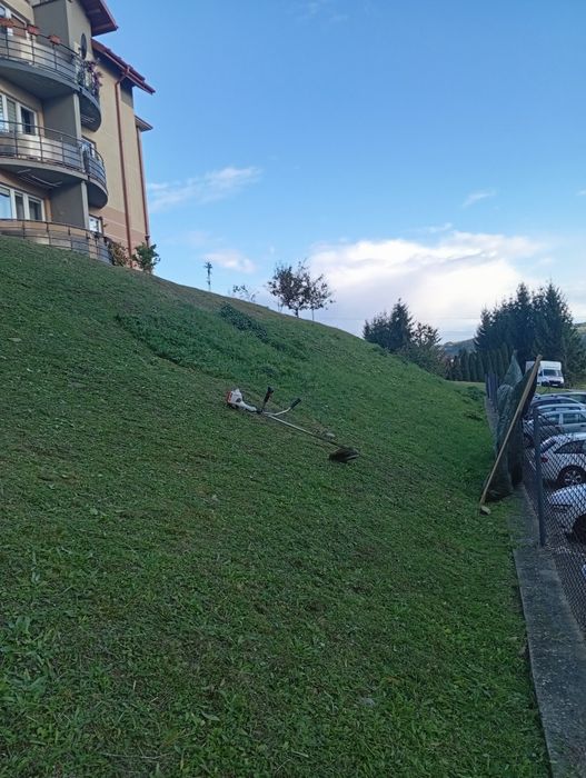 Wycinka drzew  koszenie trawy i nie tylko