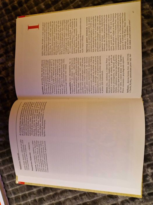 Szkolny słownik historii Polski od pradziejów do roku 1795