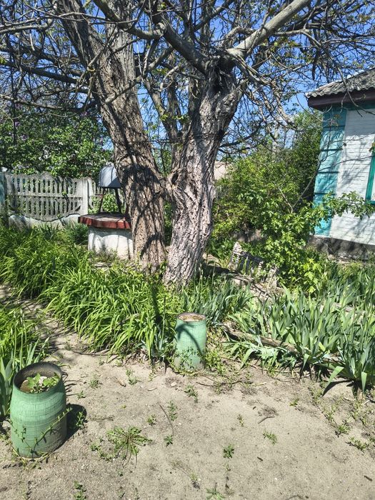 Продається будинок село Попівка