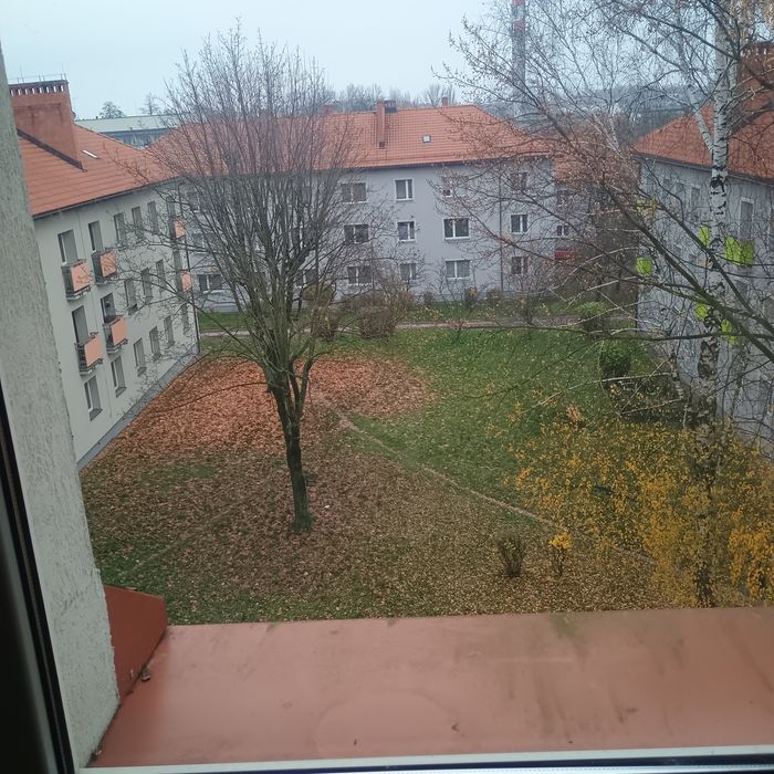 Zdjęcie 4