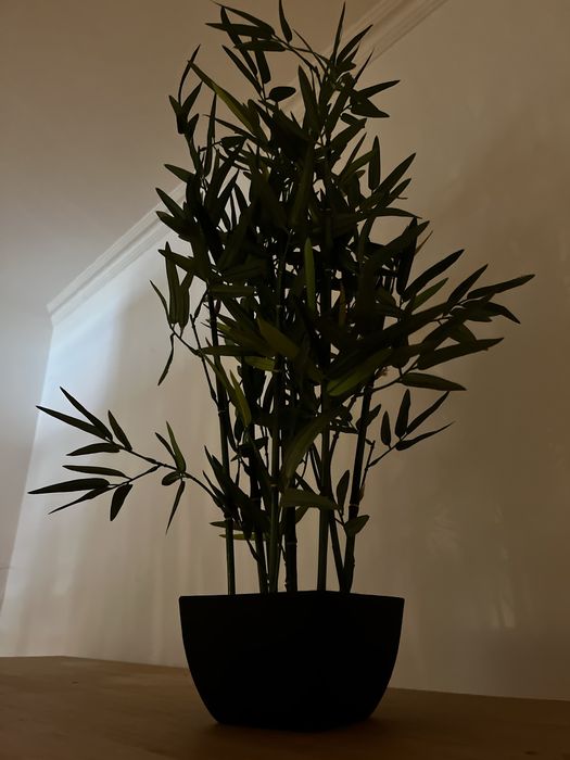 Planta decoracao plastico