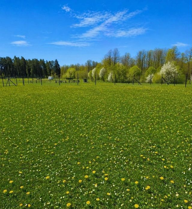 Działka rekreacyjna -Mazury, Las&jezioro