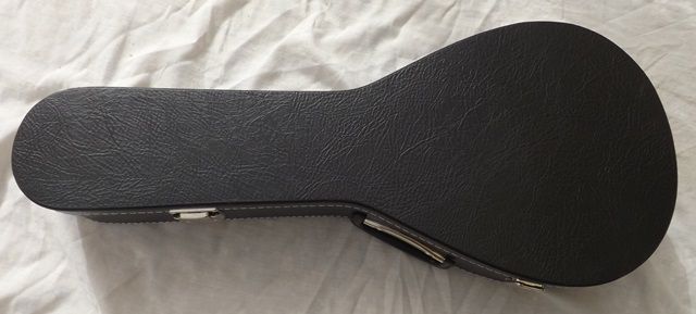 Portuguese Bandolim Case64409125837699121