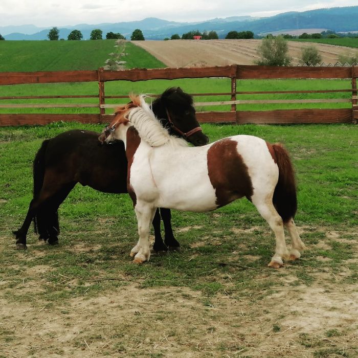Agroturystyka KOTLINA Kłodzka , Góry Stołowe, wolne pokoje!