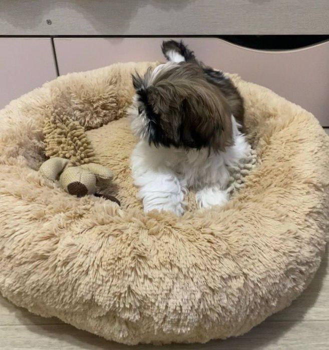 Лежанка для собак та котів «Пончик»