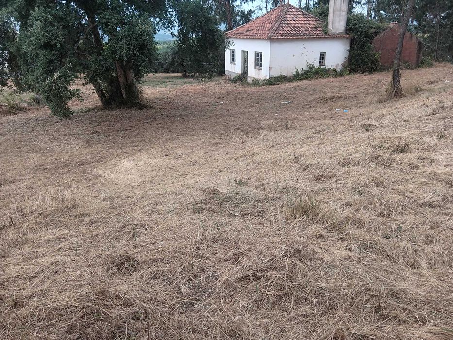 Casa antiga com terreno