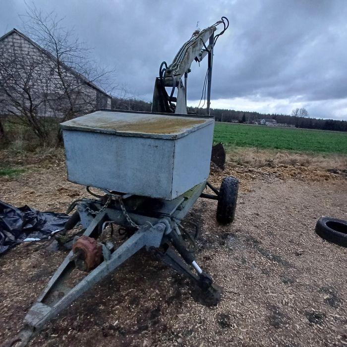 Ladowacz cyklop polski