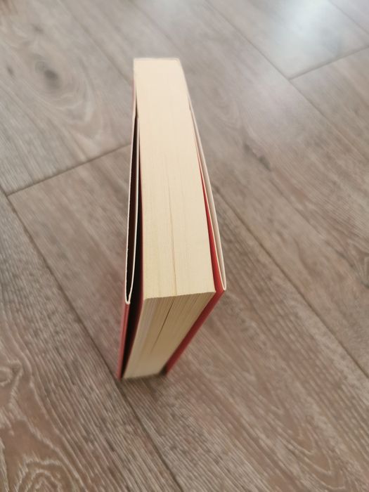 Dochodzę. Roberta Rossi