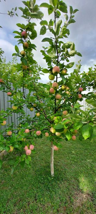 Продается новый дом с террасой \ возле . воды \.