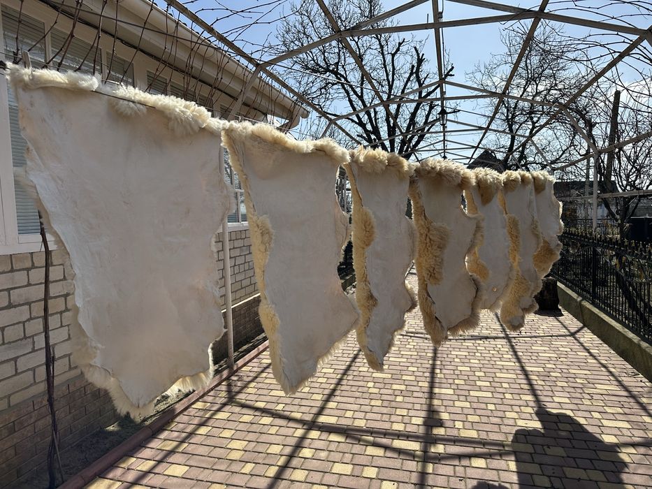 Овечі шкурки натуральні