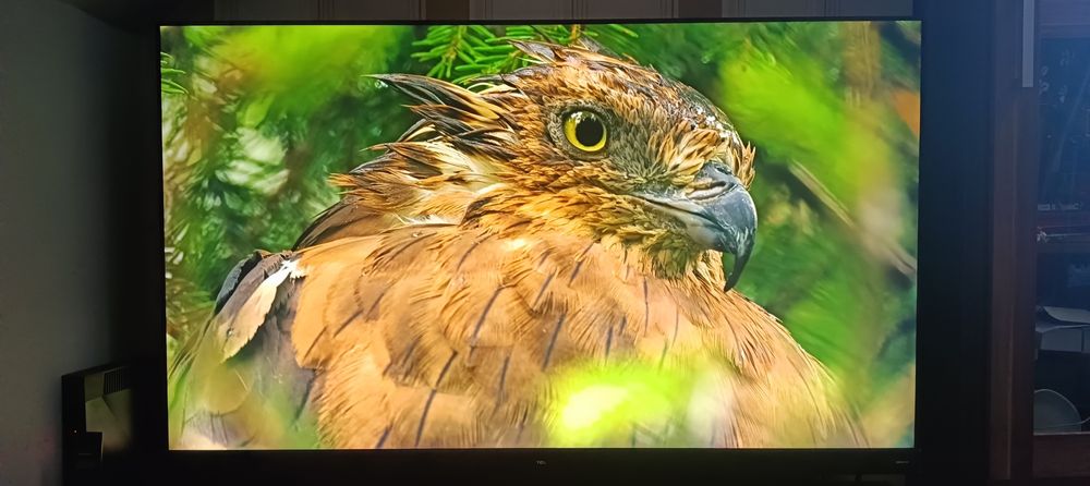 Telewizor TCL 65EC780 z wbudowanym soundbarem Onkyo 65 c